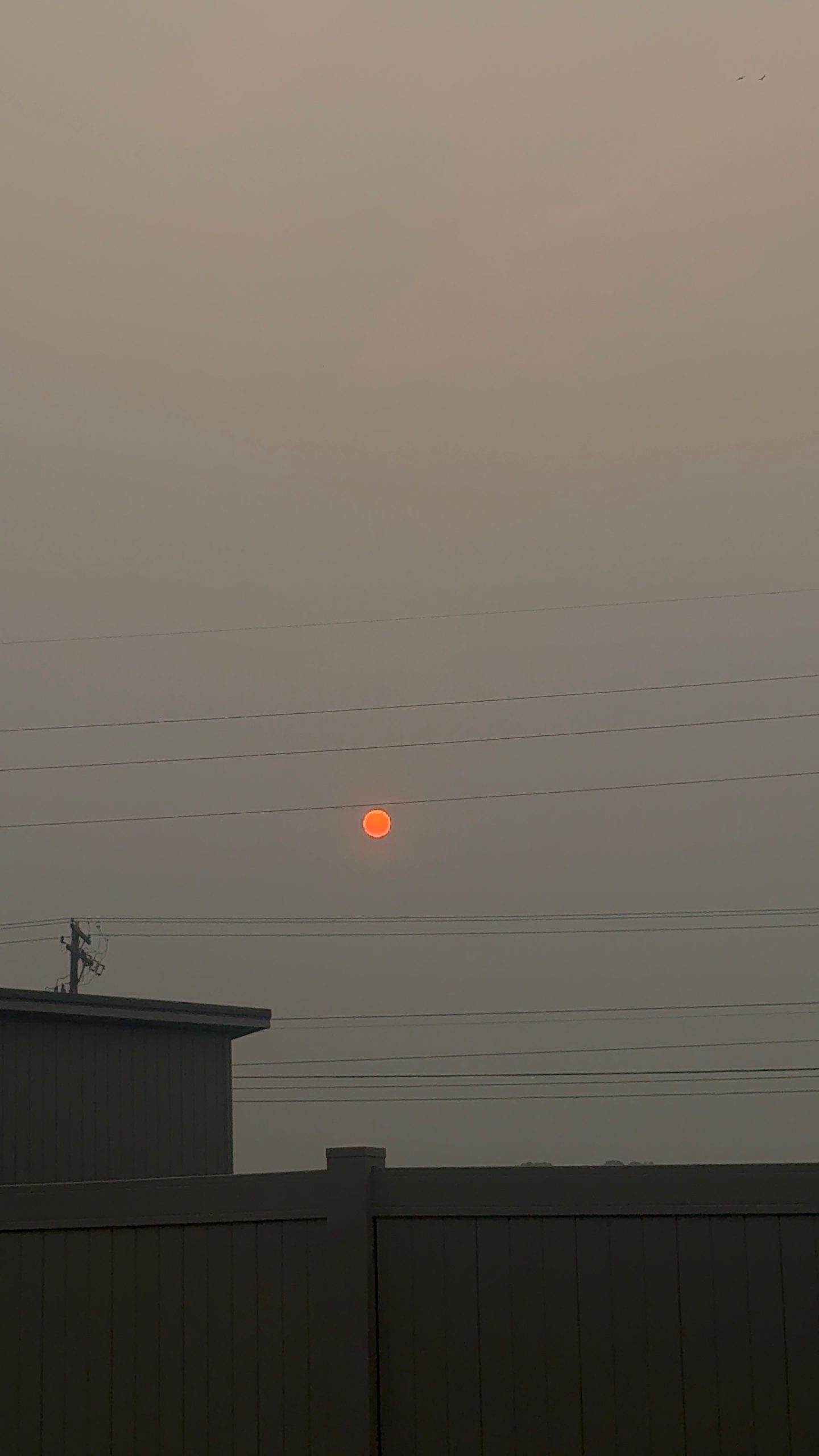 Hazy orange sky from wildfire smoke blocking the sun during hazardous AQI event